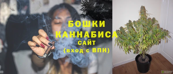 PSILOCYBIN Бронницы