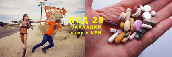 PSILOCYBIN Бронницы