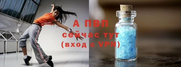 a pvp Бородино