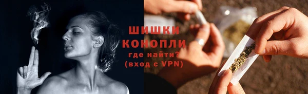 сатива Богданович