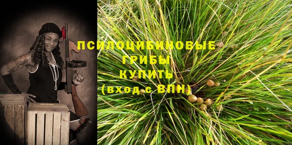 сатива Богданович