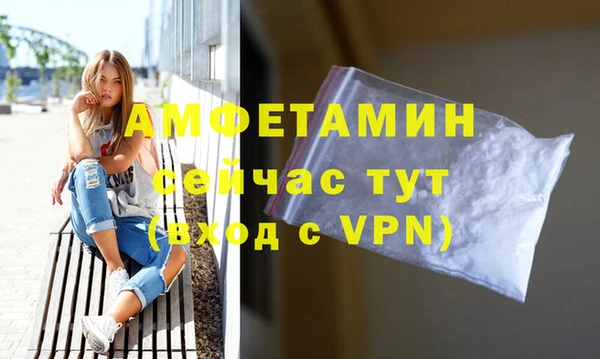 a pvp Бородино