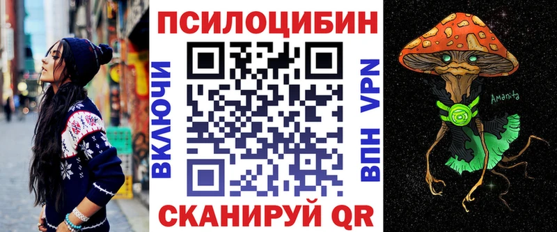 магазин    Орск  Псилоцибиновые грибы Psilocybine cubensis 